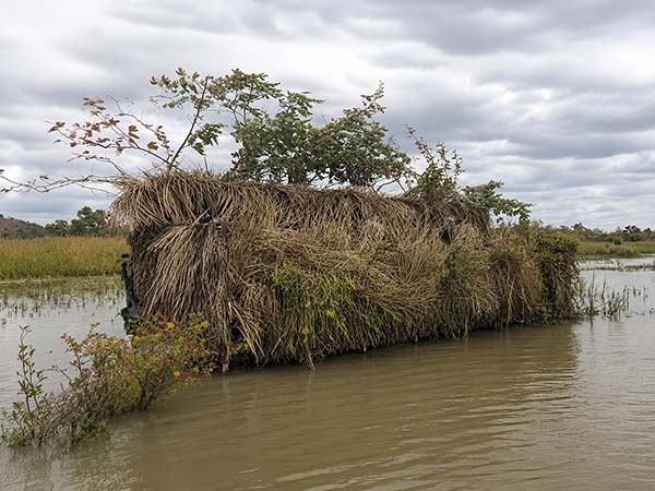Duck Blind